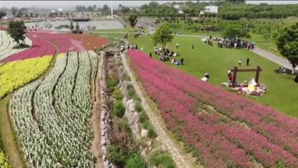 La primavera despierta el turismo interior en China