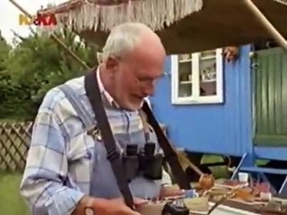 Löwenzahn Classics 168 Peter und der Taubenräuber