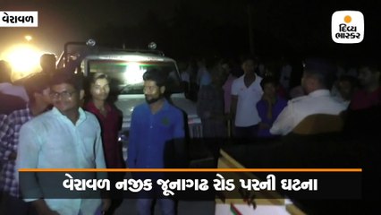 લટાર મારવા નીકળેલા સિંહને અજાણ્યા વાહનચાલકે અડફેટે લીધો