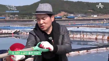 자연이 주는 선물, 낭금마을의 새하얀 금소금!