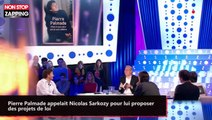 ONPC - Pierre Palmade appelait Nicolas Sarkozy pour lui proposer des projets de loi (vidéo)