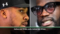 Fans want to see Wilder v Joshua - Holyfield