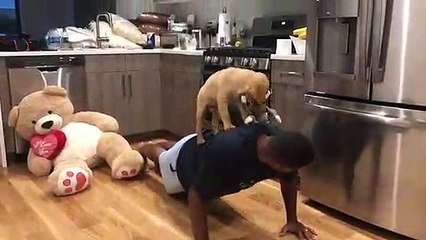 Puppy Helps with Workout Routine