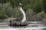 VIDEO. Tours : une embarcation de Loire mise à l'eau à Luynes