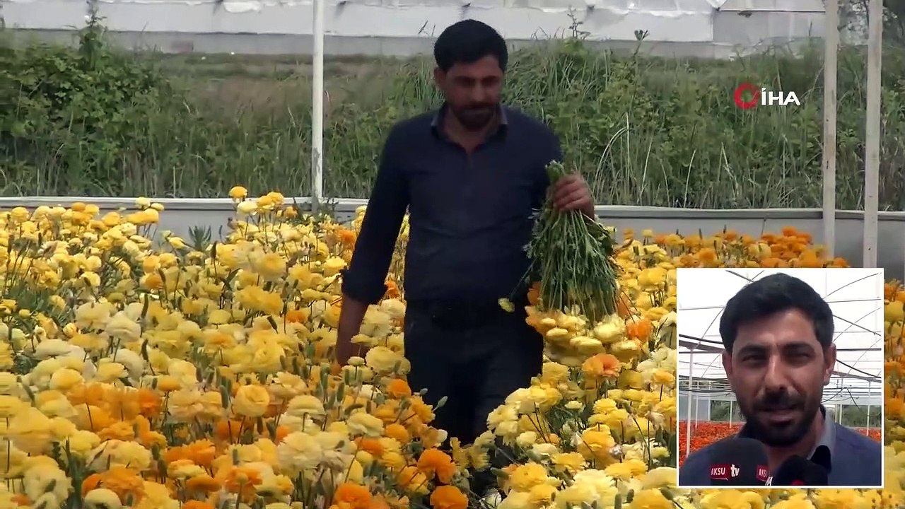 İşçi Olarak Girdiği Seradan Patron Olarak Çıktı