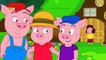 Les Trois Petits Cochons - dessin animé en français - Conte pour enfants avec les
