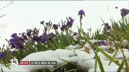 Météo : des températures hivernales sur tout le territoire