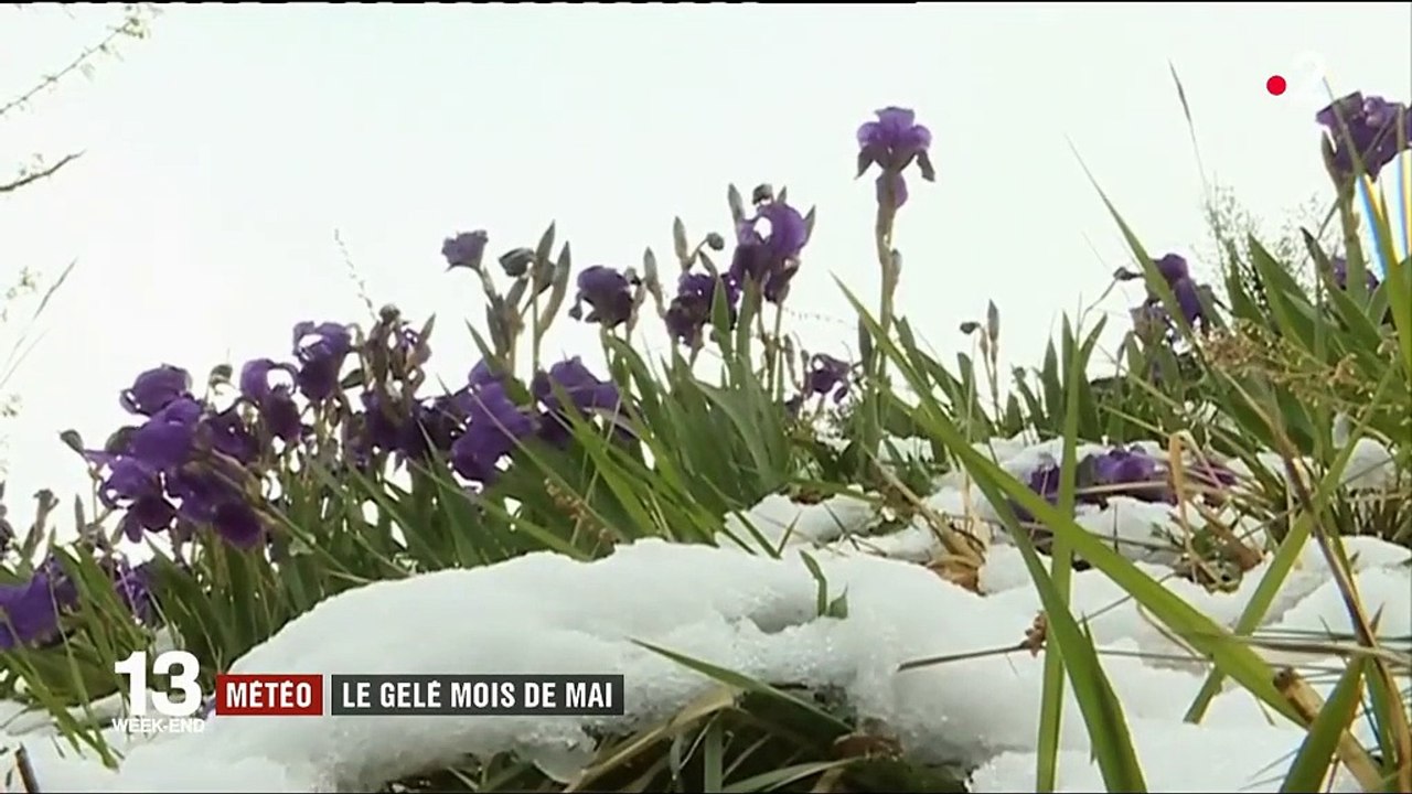 Météo : des températures hivernales sur tout le territoire