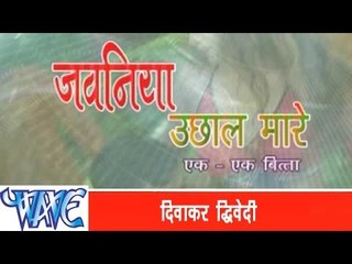 जवनिया उछाल मारे - Jawaniya Uchhal Mare - Bhojpuri Hit Songs 2015 HD