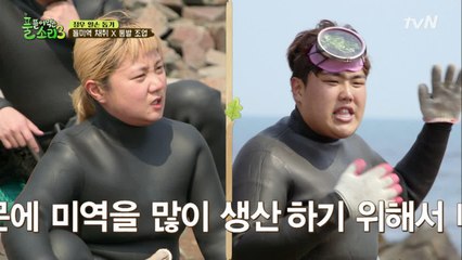 해남 정우의 울산 돌미역 알쓸신잡!