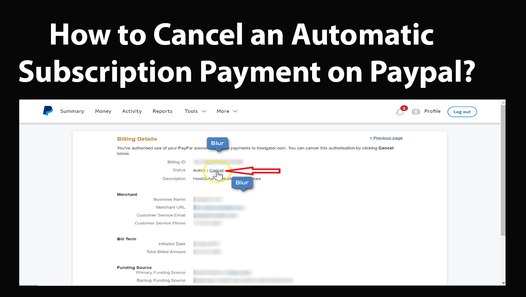 How to Cancel an Automatic Subscription Payment on Paypal - 2019