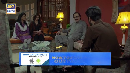 Do Bol | Last Episode 29 | Top Pakistani Drama