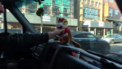 Nightly - BUS INVADERS Ep. 1441