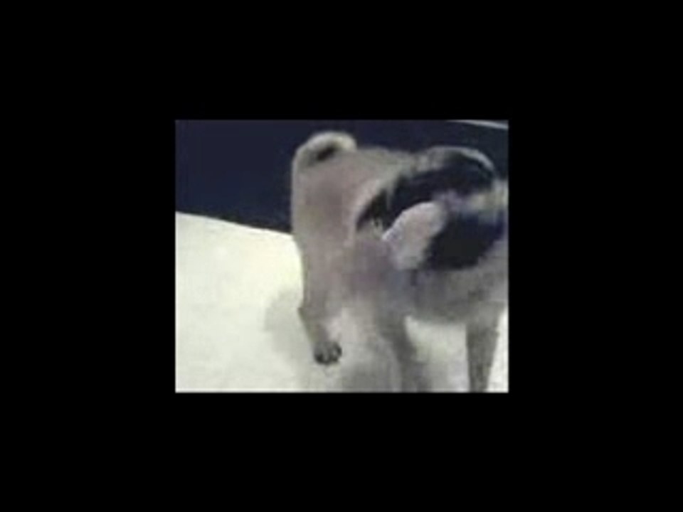 Why pay 4 (Herbalife Media Shares) when you can...?