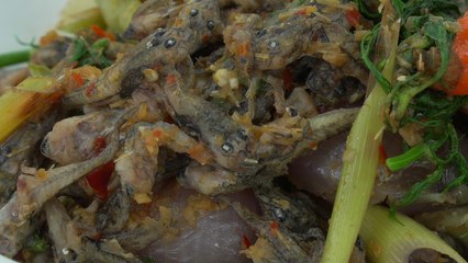 Ant larvae and developing tadpoles among the treasured delicacies of northeastern Thai cuisine