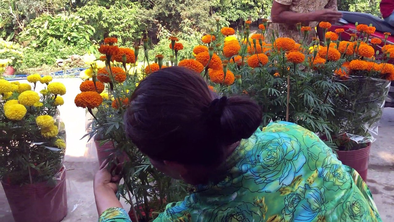 mua hoa