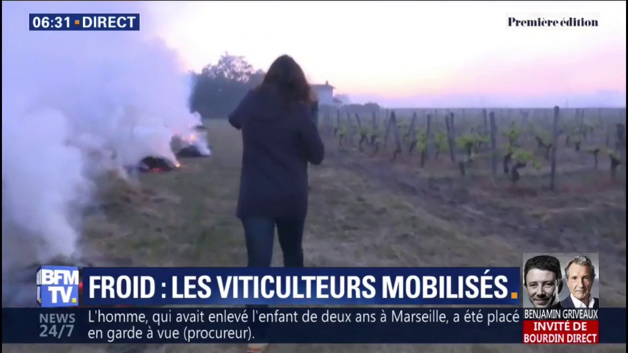 Feu et hélicoptère: ces vignerons de Saint-Émilion emploient les grands moyens contre le gel