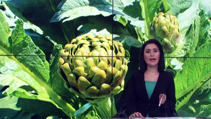 Akşam Bülteni - 5 Mayıs 2019 - İHA HABER SAAT