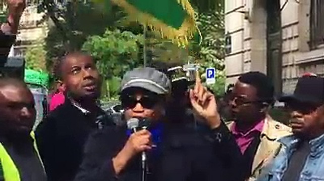 Manifestation devant l’ambassade de Guinée à Paris contre un 3e mandat d’Alpha Condé