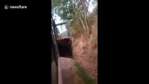Give way to oncoming wildlife! Terrified driver reverses bus after spotting elephant