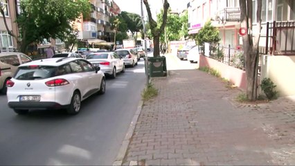 Maltepe’de narkoz etkisinden kurtulan köpek böyle dehşet saçtı