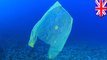 Tas plastik ‘biodegradable’ tidaklah ramah lingkungan - TomoNews