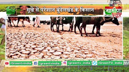 Short Circuit है फसलों में आग लगने का मुख्य कारण  | Kisan Bulletin 06 May 2019 | Green TV
