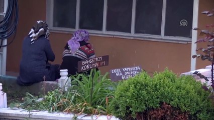 Gül dalına bebek beşiği bağlayıp dibine para gömdüler - BİLECİK