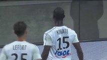 But Moussa KONATÉ (67') Amiens SC - Stade de Reims (4-1) 2018-2019