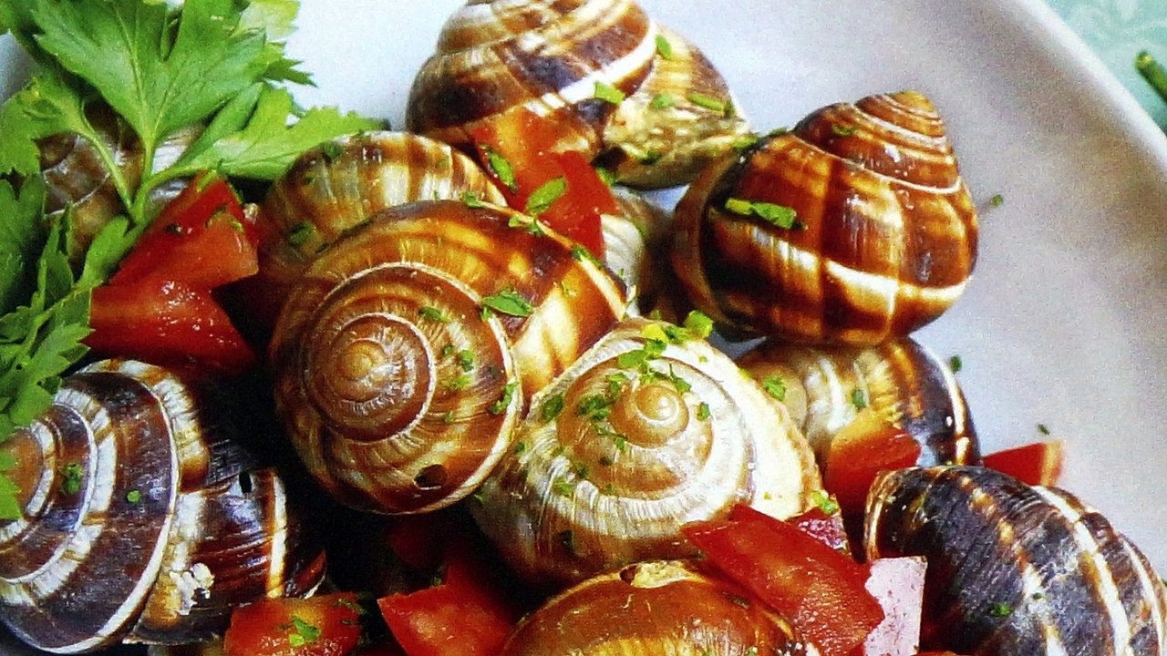 SLOW FOOD RICETTE DI SICILIA OSTERIA RONCATE OSNAGO LOMBARDIA  ITALY SICILY