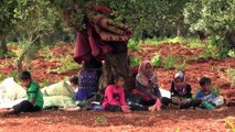 İdlib'de göç hareketi sürüyor - İDLİB