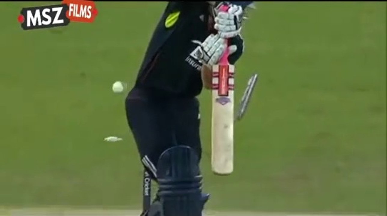 Pakistan Unbelievable victory vs England  3rd ODI 2010