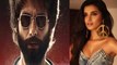 Tara Sutaria BREAKS SILENCE on REJECTING Shahid Kapoor's Kabir Singh | FilmiBeat