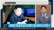 “새총 미사일, 홍길동 미사일”