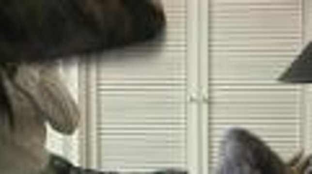 Shan Cai, ginising si Dao Ming Si