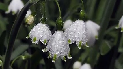 인터넷카지노 바로가기 ▶  yong79。com 바카라사이트 ぽむ목적지에서