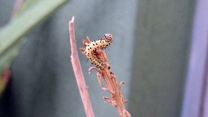 카지노사이트추천 바로가기 ▶  yong79。com M카지노 きむ‘자율