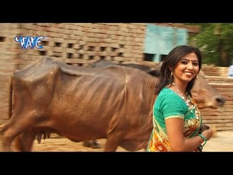 अइसन भैसा न भेटाई - Hothlali Kare Las Las | Sakal Balmua | Bhojpuri ong