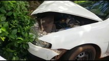 Carro atinge árvore e homem fica ferido