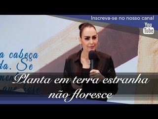 Planta em terra estranha não floresce - Bispa Cléo - HD