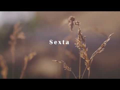 Sexta feira - Busque a Deus! Esteja conosco