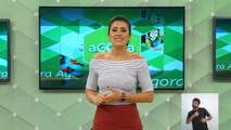 Vinheta SBT Eleições 2018 Amazonas - TV Em Tempo SBT Manaus
