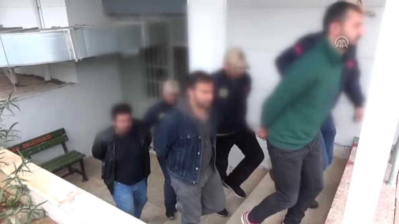 Terör Operasyonu