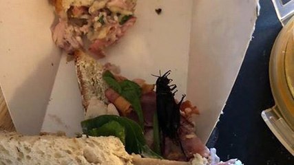 İngiltere'de Anne-Kızın Ünlü Bir Mağazadan Aldığı Sandviçten Hamam Böceği Çıktı!