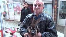 Ölmek Üzere Olan Köpek Vatandaşların Duyarlılığı Sayesinde Kurtarıldı