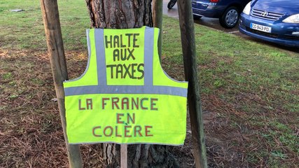 Descargar video: 150 Gilets jaunes présents au « samedi jaune »