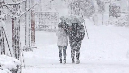 서울 첫눈 8.8cm...1981년 관측 이후 최고 기록 / YTN