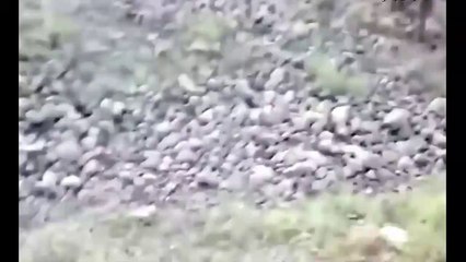 Rire de la personne la plus stupide