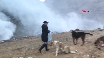 Hakkari Eda Öğretmen, Şemdinlili Çocuklar ve Sokak Köpekleri İçin Çabalıyor