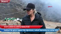 Hakkari’de görev yapan Eda öğretmen, sokak hayvanlarına sahip çıktı, hayranlık uyandırdı